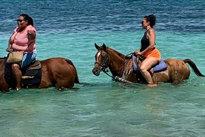 Hour Horseback Riding Guided Tour from Runaway Bay - Key points at a glance