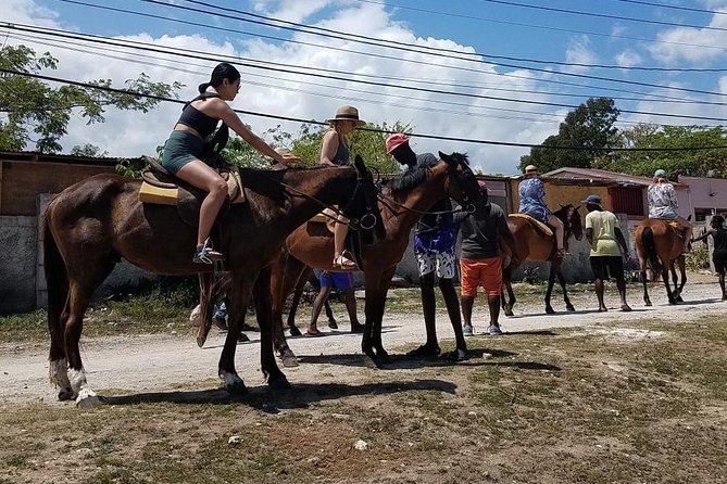 Hour Horseback Riding Guided Tour from Runaway Bay - The possible river and waterfall stop