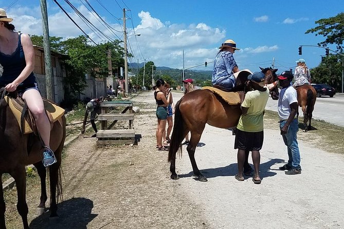 Hour Horseback Riding Guided Tour from Runaway Bay - The rustic side of the experience