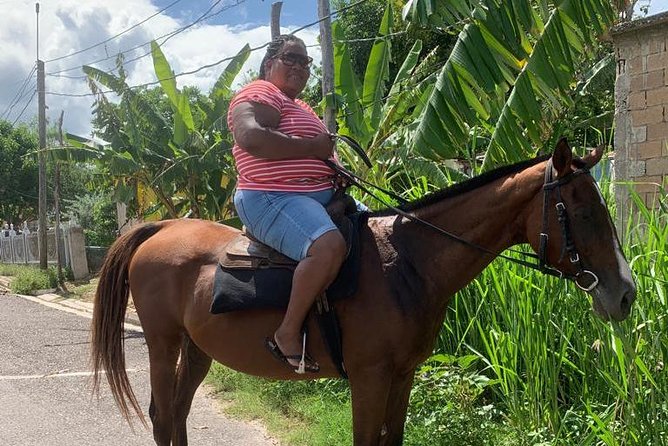 Hour Horseback Riding Guided Tour from Runaway Bay - The ride toward the beach