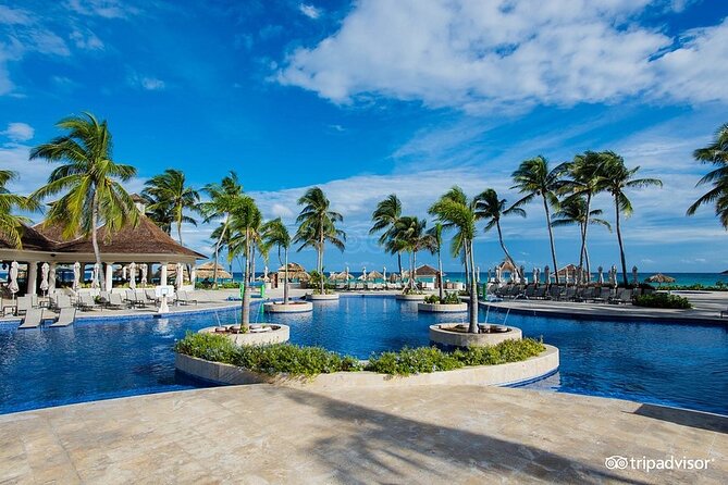 Hyatt Zilara Rose Hall Resort Private Airport Transfer - The Human Touch: David, Richardo, and Clear Contact