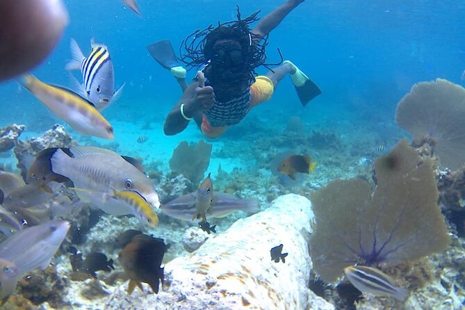 Incredible Negril Guided Snorkeling To Reef, Anchor, and Cannon - Key points to know