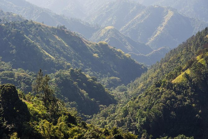Jamaica Blue Mountain Guided Nature Tour - Key points to know before you go