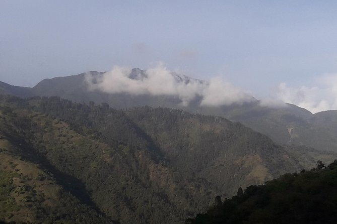 Jamaica Blue Mountain Guided Nature Tour - Leaving Kingston for the Blue Mountains