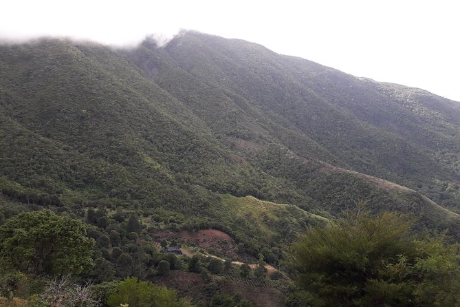 Jamaica Blue Mountain Guided Nature Tour - Food, drinks, and the ride back