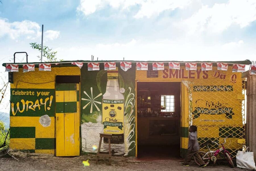 Jamaica: Blue Mountains Full Day Tour with Brunch & Lunch - Forest roads, herbs, and mountain views