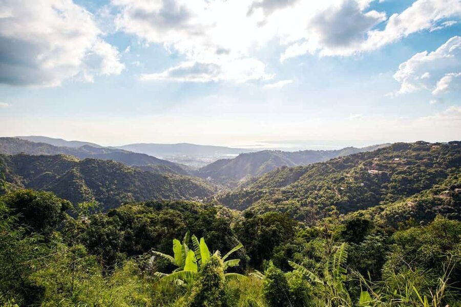 Jamaica: Blue Mountains Full Day Tour with Brunch & Lunch - Brunch and lunch in the mountains