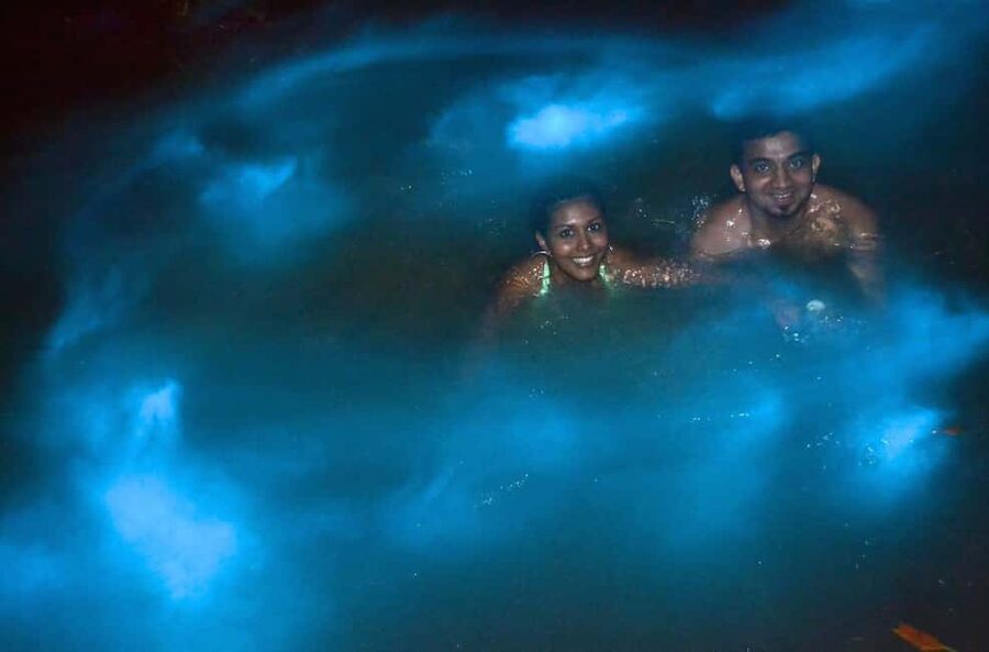 Jamaica: Bob Marley, Dunn's River Falls and Luminous Lagoon - Key points to know before booking