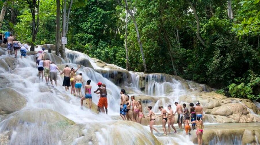 Jamaica: Bobsled and Dunn's River Falls Adventure Tour - Above the trees on Sky Explorer