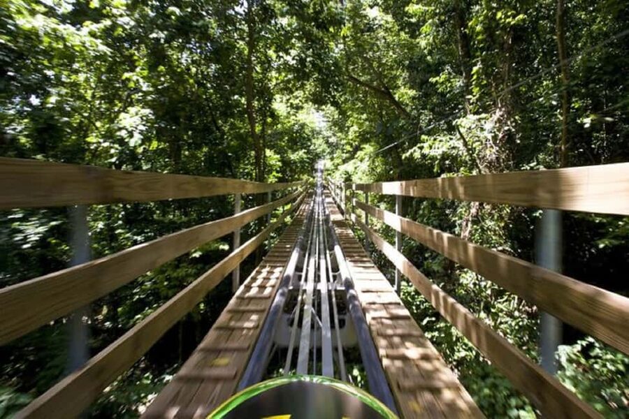 Jamaica Bobsled and Zip Line Adventure Tour - A hand-controlled 1,000-meter bobsled run