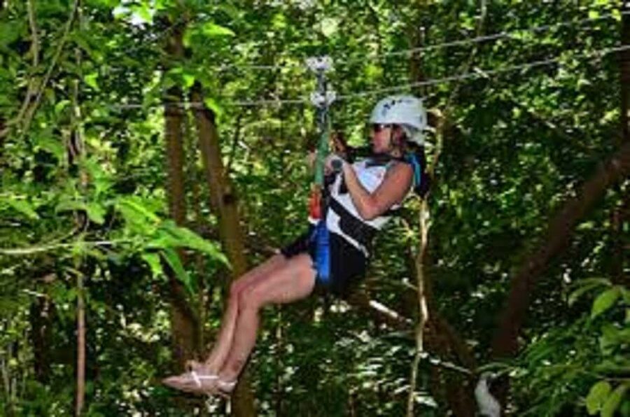 Jamaica Bobsled and Zip Line Adventure Tour - The Sky Explorer ride sets the scene
