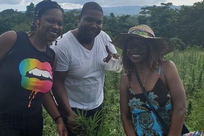 Jamaica Farm Private Dispensary Tour Montego Bay - What this Montego Bay farm tour actually feels like
