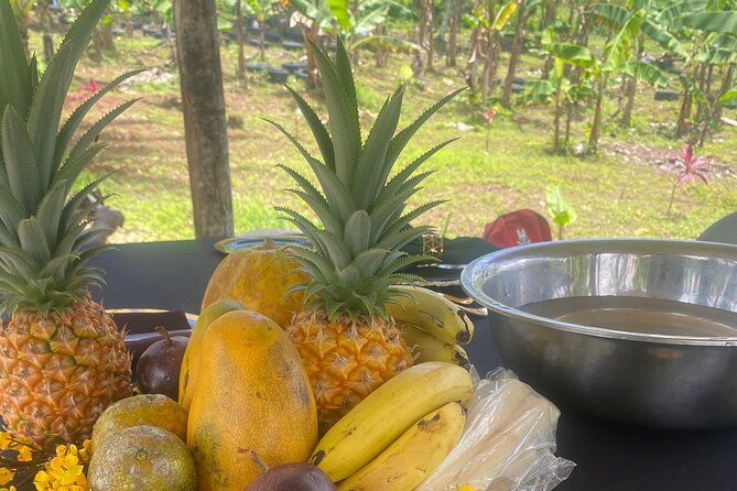 Jamaica Farm Private Dispensary Tour Montego Bay - Fruit tasting, coconut water, and a Jamaican farm meal