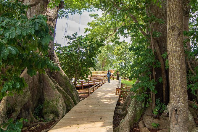 Jamaica Giants sculpture park, art galleries - The ride from Negril adds useful local context