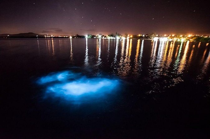 Jamaica Luminous Lagoon Private Tour with Transportation - Swimming among the tiny lights