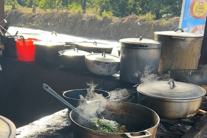 Jamaican Countryside Food Tasting Tour from Montego Bay - What the guide adds beyond the food