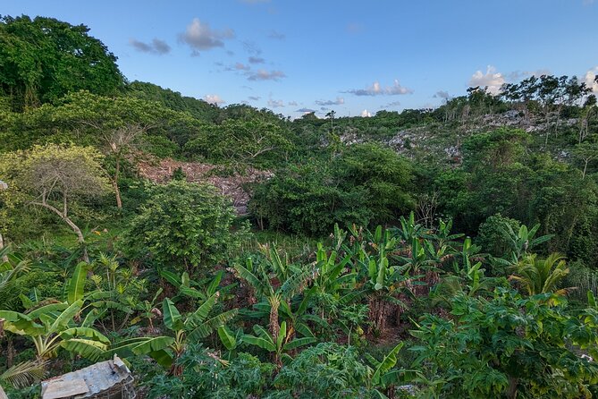 Jamaican Roots Tropical Farm Tour - Taste & Explore (Negril) 2hr - How the small group affects the experience