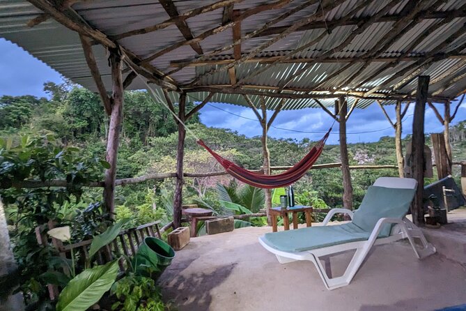 Jamaican Roots Tropical Farm Tour - Taste & Explore (Negril) 2hr - Weather and cancellation details