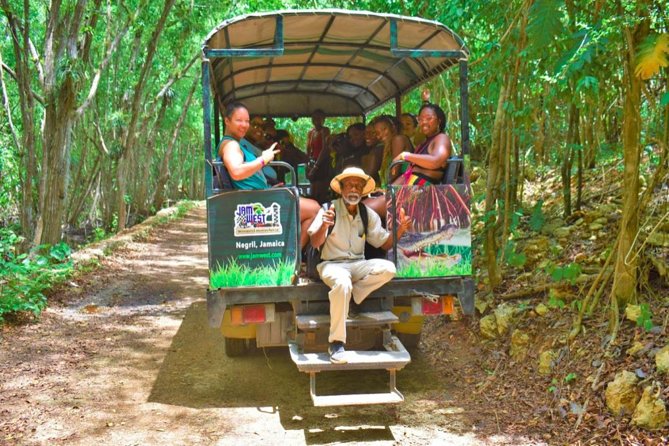 Jamwest: Zipline, Cultural Ride, and ATV Off-Road Adventure - The Rock Safari through wetlands and spring ponds