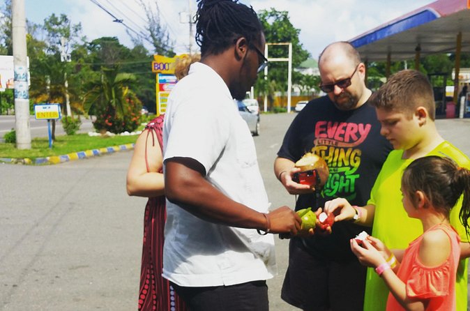 Kingston Day Tour with Bob Marley Museum Experience from Ocho Rios - What the transport and group size mean