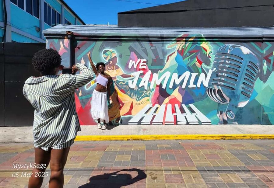 Kingston: Rhythmic Walking Music Tour - One hour in Kingston’s Art District