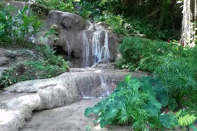 Konoko Falls and Tropical Garden Tour from Ocho Rios - The garden path before Konoko Falls