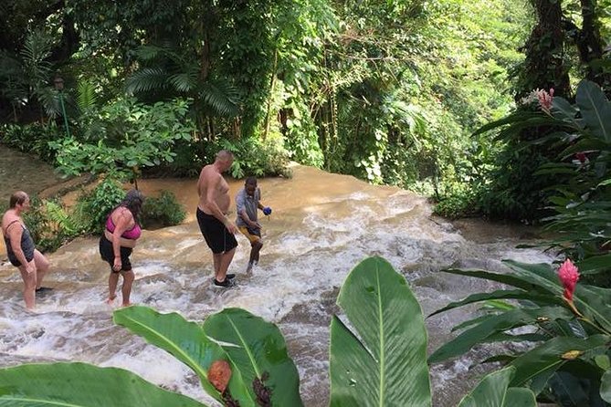 Konoko Falls and Tropical Garden Tour from Ocho Rios - The view over Ocho Rios