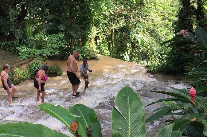 Konoko Falls and Tropical Garden Tour from Ocho Rios - Who will enjoy this outing most