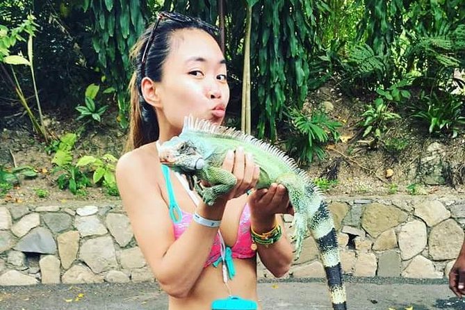 Konoko Falls and Tropical Garden Tour from Ocho Rios - Koi ponds and the river walk