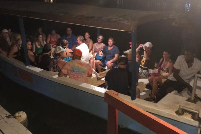 Luminous Lagoon After Dark Tour - Is $86.67 a fair price?