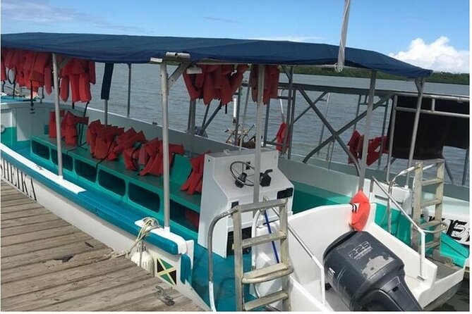 Luminous lagoon Dark night Tour from Ocho Rios and Runaway Bay Hotels - Swimming in the lagoon