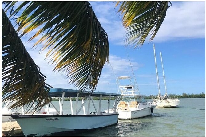 Luminous lagoon Dark night Tour from Ocho Rios and Runaway Bay Hotels - Who will enjoy this experience most