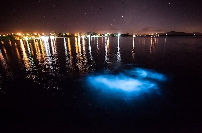 Luminous Lagoon Experience - The boat ride and swim