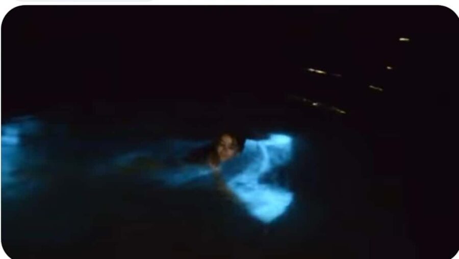Luminous Lagoon Experience: Ocho Rios Runaway Bay & Falmouth - What makes the Luminous Lagoon unusual
