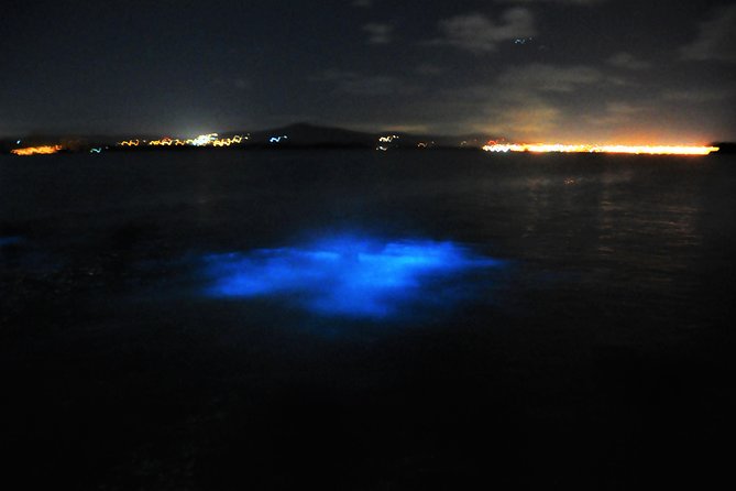Luminous Lagoon "Glistening Waters" Tour from Grand Palladium Resorts - Swimming among the harmless sparks