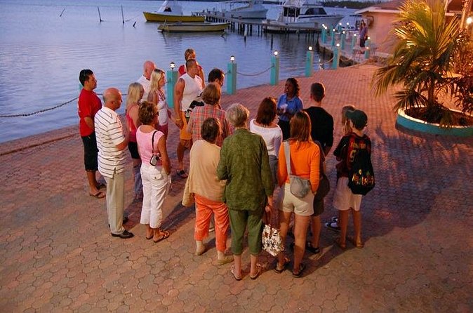 Luminous Lagoon Night Cruise From Montego Bay - The private format and who benefits most