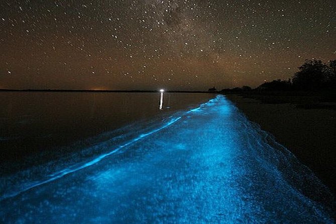 Luminous Lagoon Night-Time Tour from Montego Bay - Who will enjoy this night out