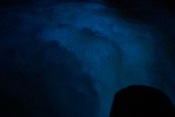 Luminous Lagoon Night Tour and Swim/Fire Dance from Montego Bay - Weather, timing, and what to bring