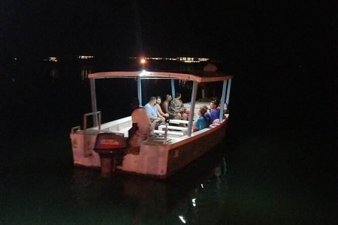 Luminous Lagoon Night Tour from Montego Bay - Practical Tips for a Better Evening