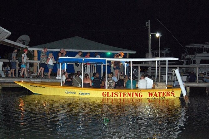 Luminous Lagoon Night Tour from Montego Bay - What to bring and what to confirm