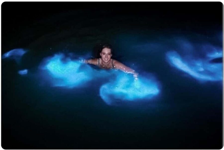 Luminous lagoon : Night Tour from Ocho Rios and Runaway Bay - The one-hour ride to Falmouth