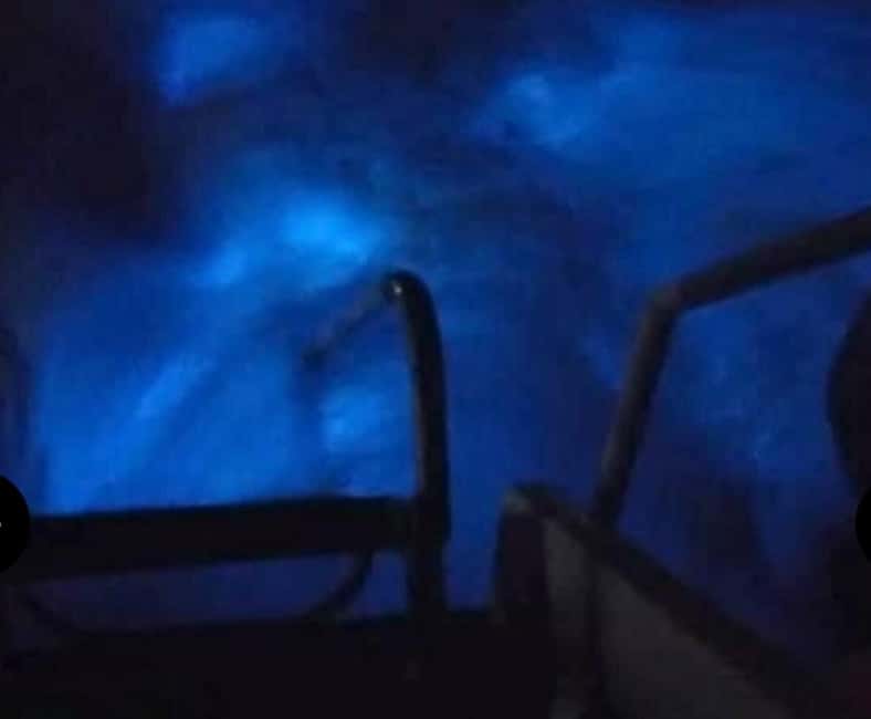 Luminous lagoon : Night Tour from Ocho Rios and Runaway Bay - On the boat, your movement creates the light
