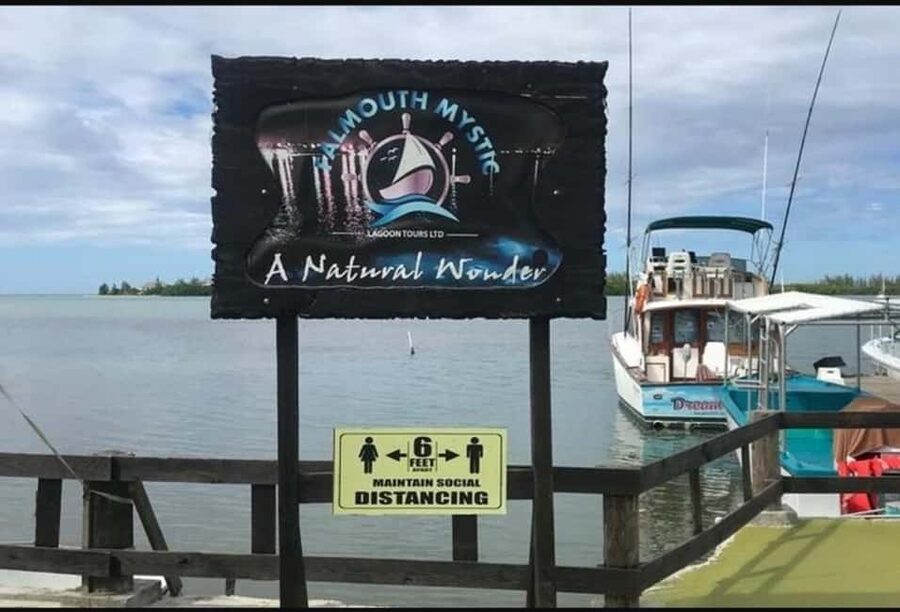 Luminous lagoon : Night Tour from Ocho Rios and Runaway Bay - Is $81 a fair price?