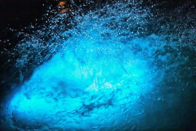 Luminous lagoon Night Tour Montego Bay - The boat ride and glowing water