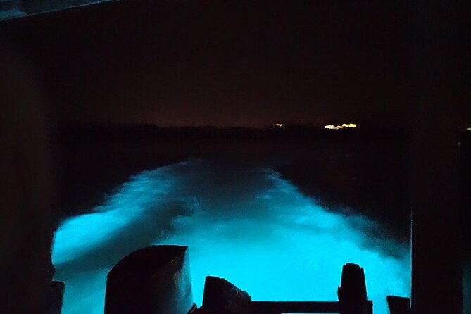 Luminous lagoon Night Tour Montego Bay - Tips for making the night go smoothly