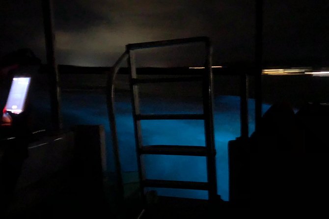 Luminous Lagoon Private Tour - The boat ride and 45-minute swim
