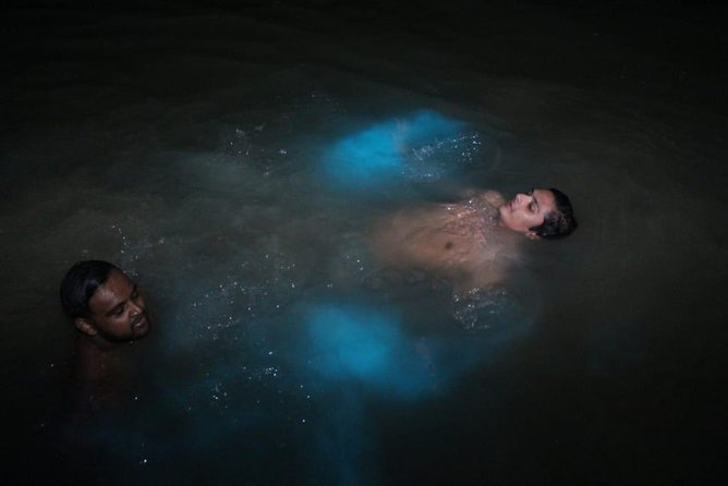 Luminous Lagoon Private Tour - Who should book this private transfer?
