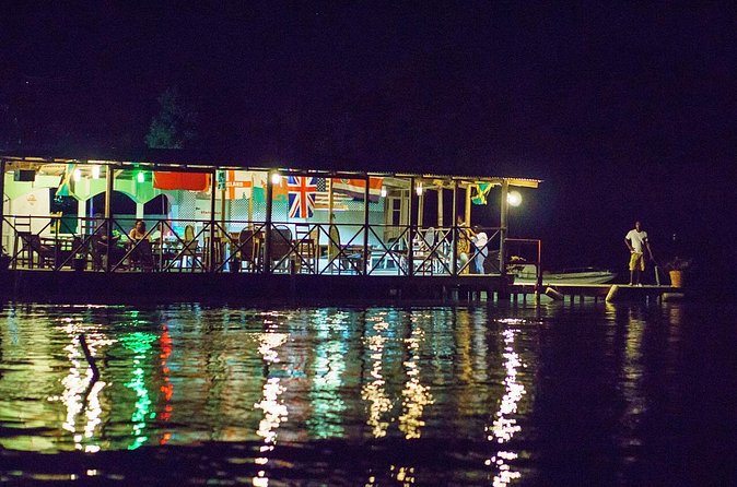 Luminous Lagoon Sightseeing Tour in Montego Bay - Why the Luminous Lagoon glows after sunset