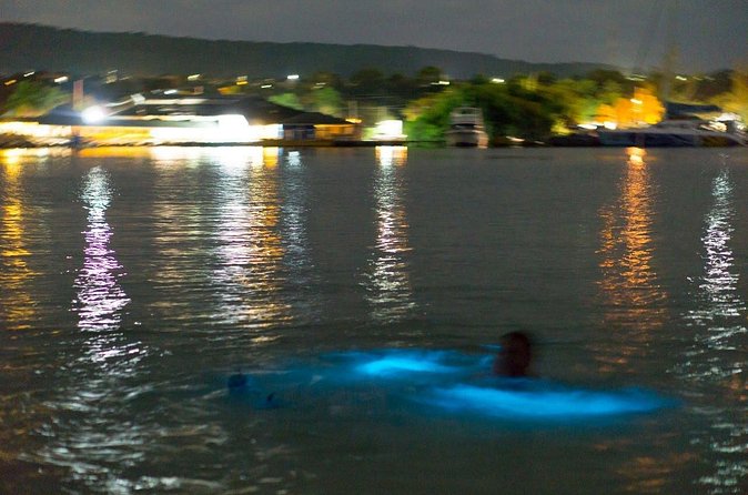 Luminous Lagoon Sightseeing Tour in Montego Bay - From Montego Bay hotels to the lagoon
