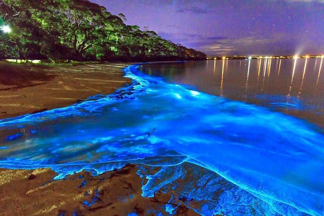 Luminous Lagoon Small Group Tour from Montego Bay - Key points to know before booking